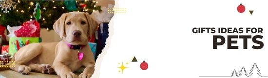 Gift Ideas for Pets – Christmas 2025